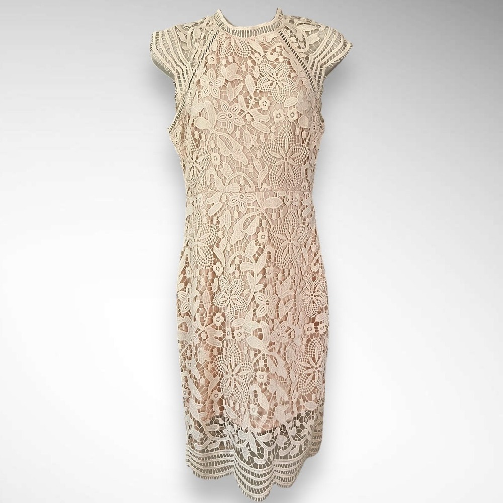 PINK BLUSH Lace Cap‎ Sleeve Lined Cocktail Dress Size Small | EUC